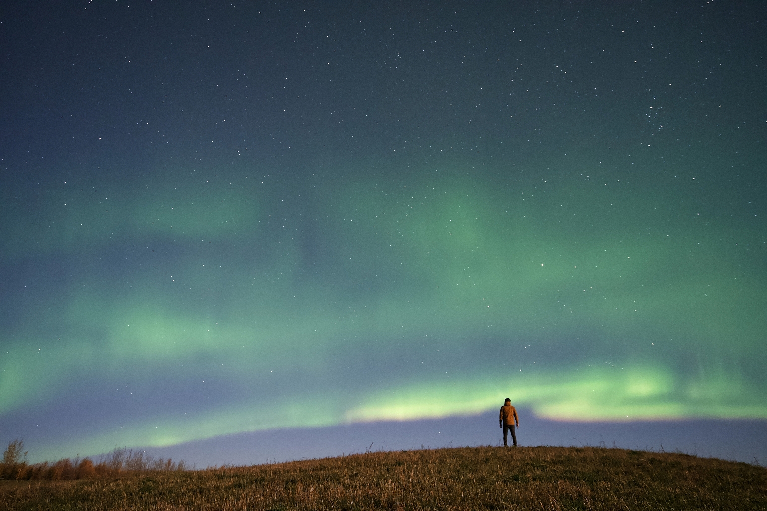 A person stands on a vast expanse of land looking up as the Northern Lights illuminate the sky.