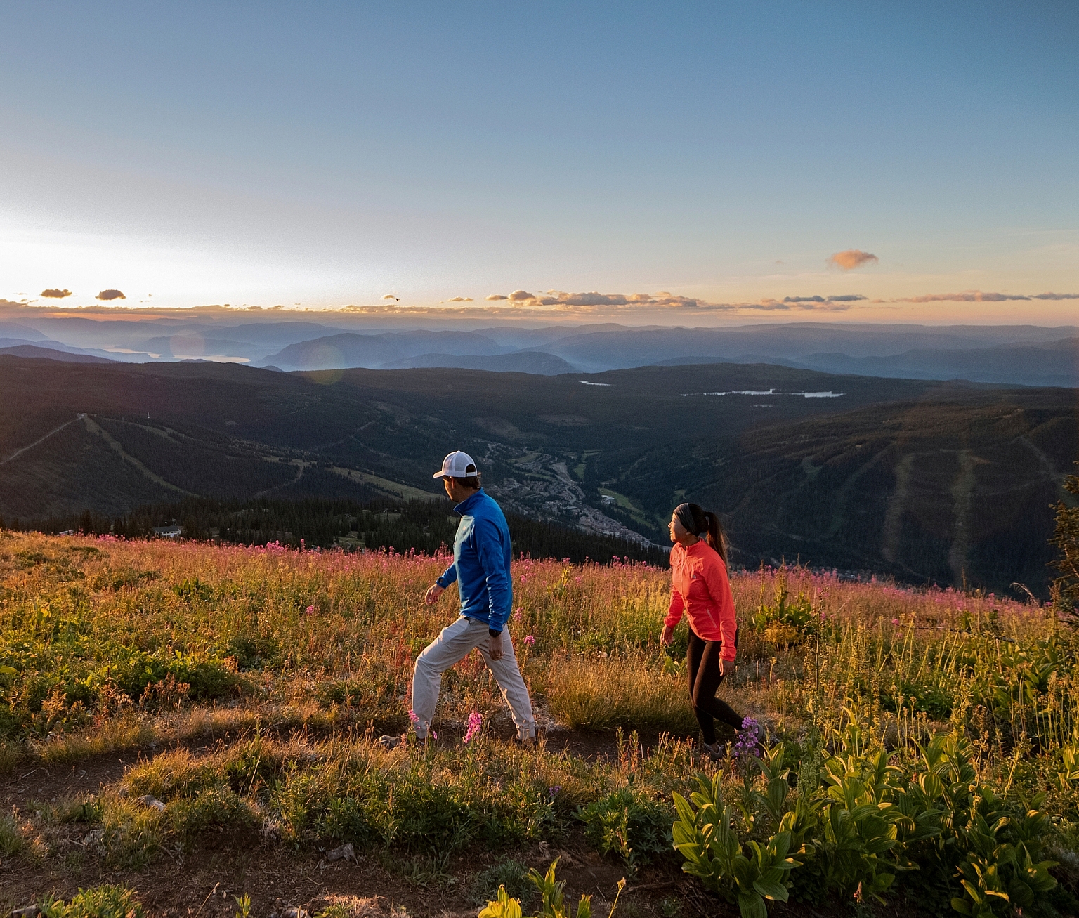 Two people hike through an alpine meadow.