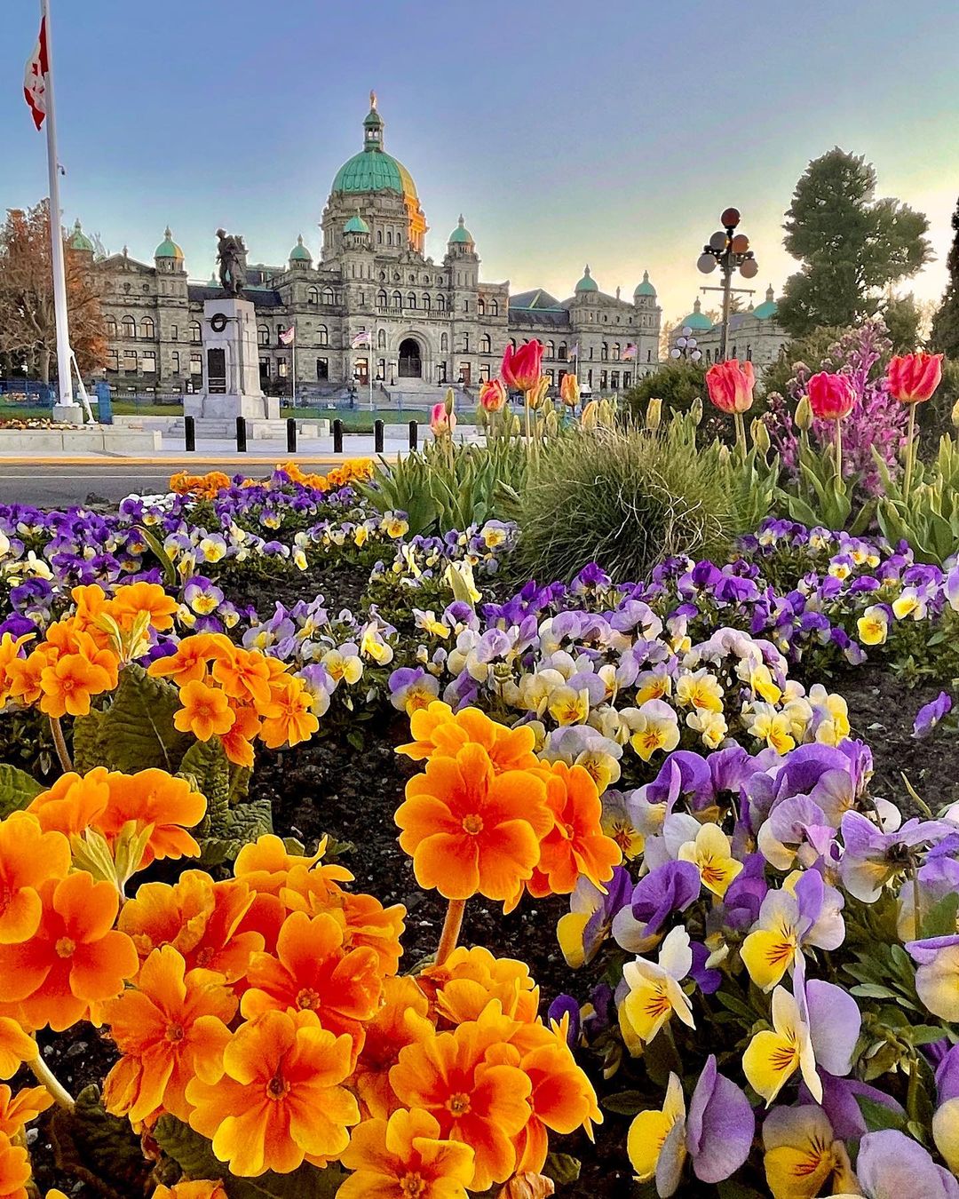 photo by Doug Clement caption reads: Spring time in Victoria 
#explorecanada #imagesofcanada  #pnwonderland #paradisecanada #tourcanada #sharethecoast #destinationbc #bcisbeautiful #connectwithvictoria #ldphotolab #enjoycanada #capitaldaily #canadaday #canoncanada @canada  #victoriabuzz #victoriahype #bcisbeautiful #insidecanada @livelovecanada #cascadiaexplored #pnwescapes  #clippervacations #explorevictoria #explorebc #globalbc  #raw_canada  #raw_flowers #parliamentbuildings  #beautifulbritishcolumbia