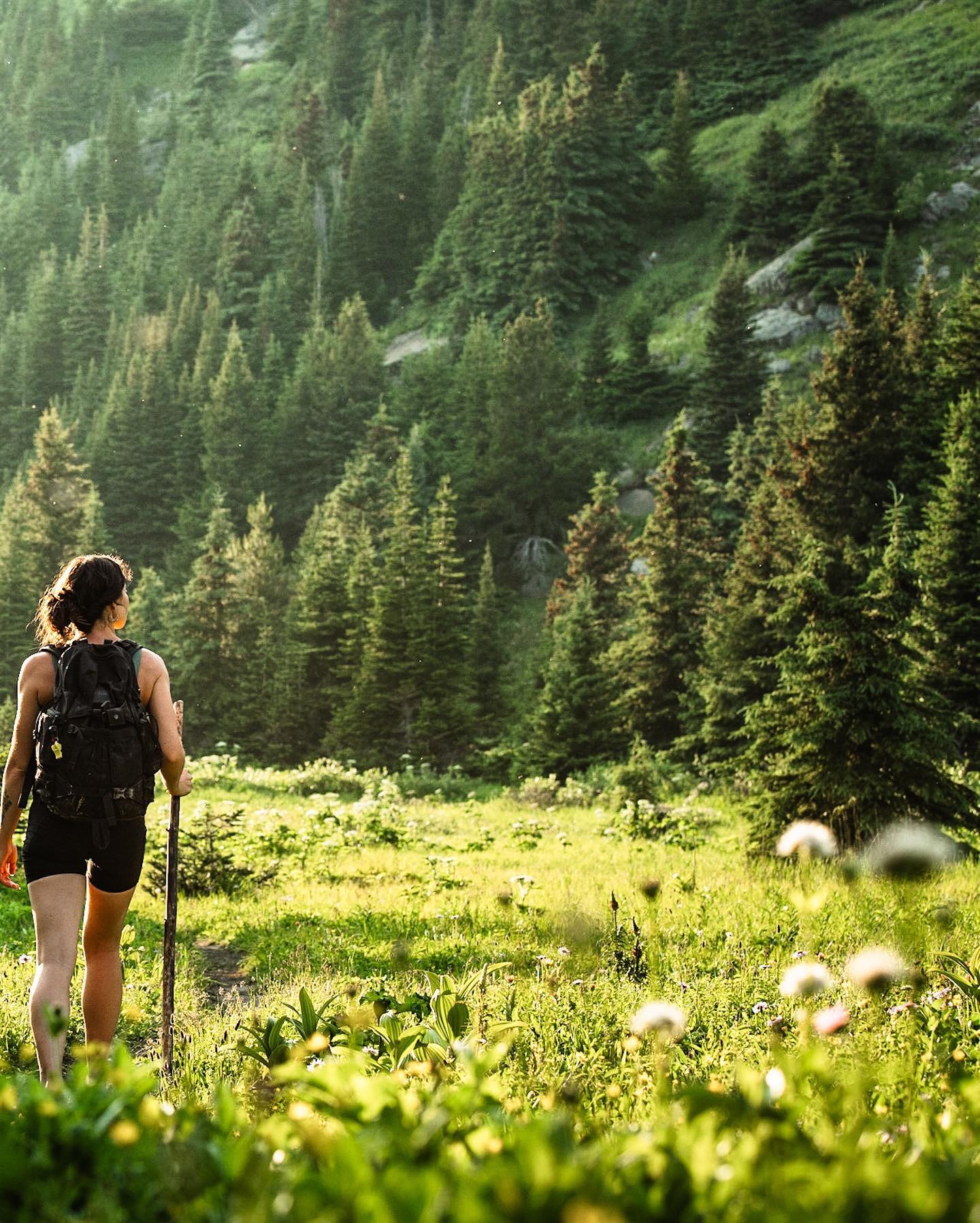 photo by Court caption reads: She’s a wildflower. ⛰️ 🌺 
\\Tumbler Ridge Photo Tour 2023//
sheswildandwell
#sheswildandwell 
#tumblerridge #tumblerridgegeo #visittumblerridge #britishcolumbia #canada #cangeo #canadiangeoparks #natgeo #unescoglobalgeopark #wheredinosaursroamed #hellobc #hikebc #northseasphotography #tumblerrridgephototour2023